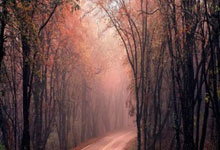 人人体育:【死神降临】杜兰特降临联盟,雷霆开启崛起之路.