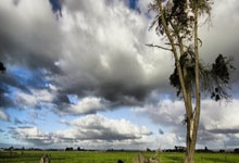 人人体育:勒夫:维尔茨可能会在世界杯上大放异彩,建议他之后再转会.