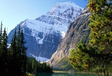 几家欢乐几家愁——2024-2025中国女子排超联赛队员观感之十.